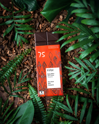 feine-bitter-75-prozent-cacao-panama-kokosbluetenzucker The organic chocolate bar Fine Dark 75% Cocoa Panama from VIVANI with coconut blossom sugar lying on a jungle floor.