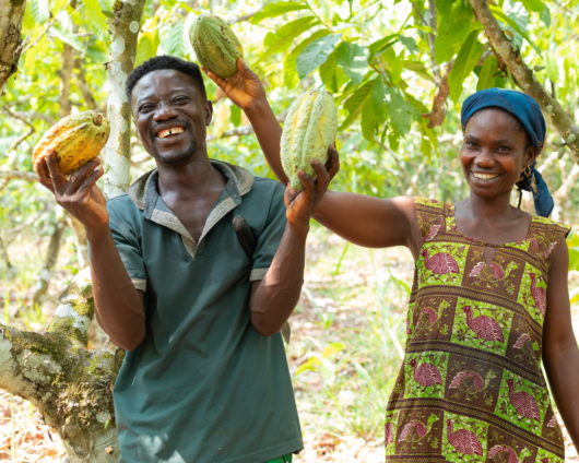 Kakaobauern in Ghana mit bunten Kakaofrüchten.