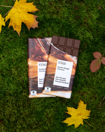 dunkle-nougat-gianduja-schokolade-vivani Zwei Tafeln VIVANI Dunkle Nougat Gianduja auf einem Moosboden mit Herbstblättern.