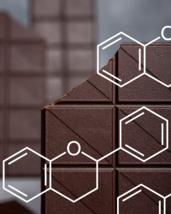 polyphenole-flavanole-flavonoide-schokolade-vivani-bioschokolade Dark chocolate is rich in phytochemicals, known as polyphenols.